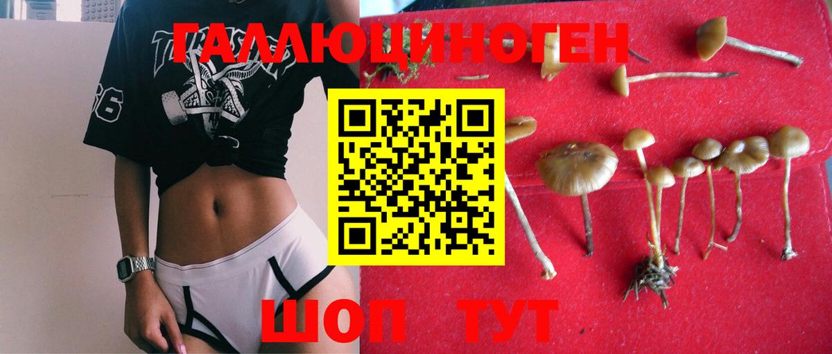 Галлюциногенные грибы Magic Shrooms Альметьевск