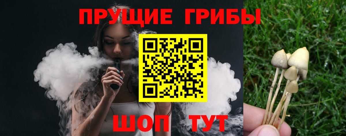 Галлюциногенные грибы MAGIC MUSHROOMS  Вход с VPN  Альметьевск 